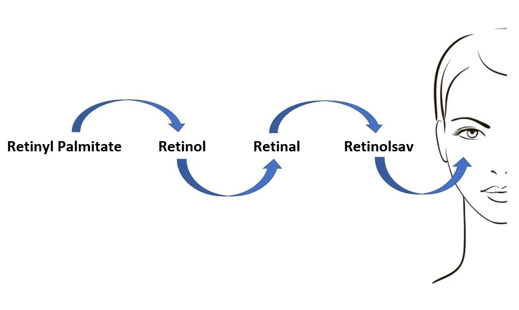 Retinol metabolikus átalakulási folyamat