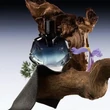 Kép 2/3 - Benetton Tribe Re Intense EdP 90 ml 