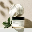 Kép 2/4 - Pyunkang Yul Moisture Barrier Arckrém 50 ml