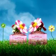 Kép 4/5 - Marc Jacobs Daisy Murakami Limited Edition Pink Eau De Parfum 50 ml