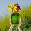 Kép 5/9 - Marc Jacobs Daisy Wild Eau So Extra Parfum Nőknek