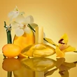 Kép 5/6 - Calvin Klein Euphoria Solar Elixir Nőknek