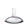 Kép 1/2 - Calvin Klein Euphoria for Women EdP nőknek