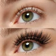Kép 3/6 - essence what the fake! false lashes 01