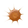 Kép 4/5 - Essence DROP OF sunshine Bonzosító cseppek