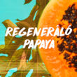 Garnier Fructis Hair Food Papaya 3-Féleképpen Használható Hajpakolás, 390 ml