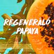 Kép 2/6 - Garnier Fructis Hair Food Papaya Balzsam, 350 ml