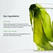 Kép 5/9 - Biodance Refreshing Sea Kelp Real Deep Frissítő Fátyolmaszk 34g