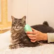 Kép 2/6 - Tangle Teezer Cat Teezer Macskakefe