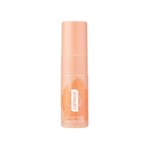 Catrice SPRING AWAKENING Air Fluff Primer C01